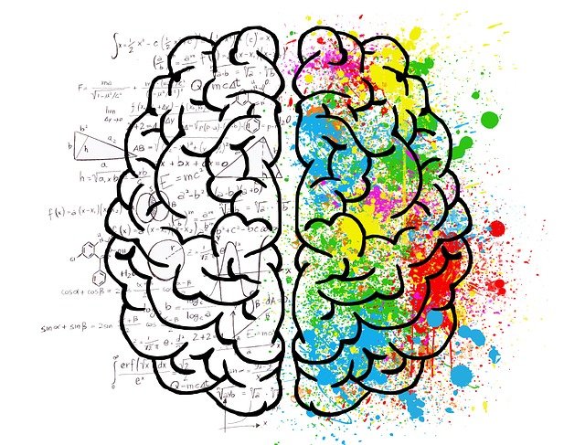 left brain vs. right brain