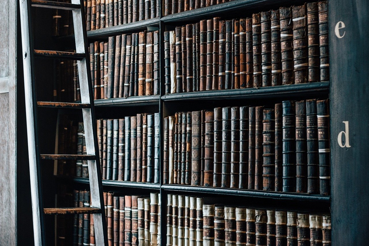 library bookshelves